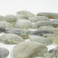 Included Quartz / Garden Quartz / Lodolite