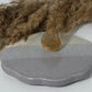 Golden Rutilated Quartz