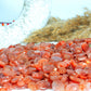 Sunstone