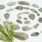 Included Quartz / Garden Quartz / Lodolite