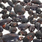 Iolite
