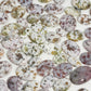 Ocean Jasper