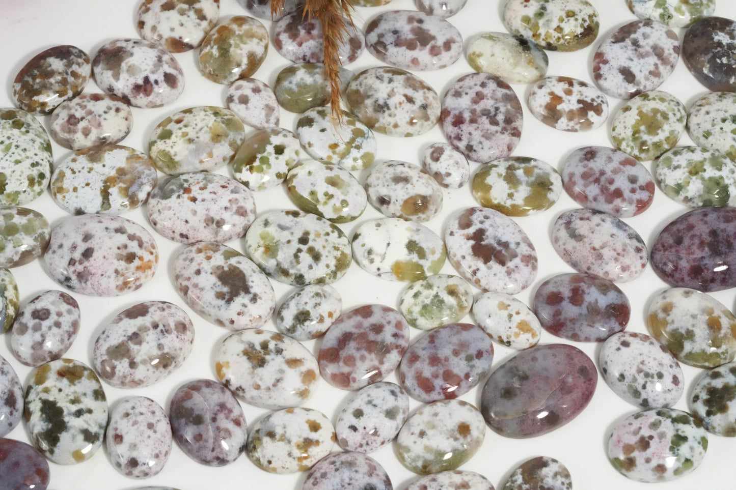 Ocean Jasper