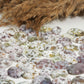 Ocean Jasper